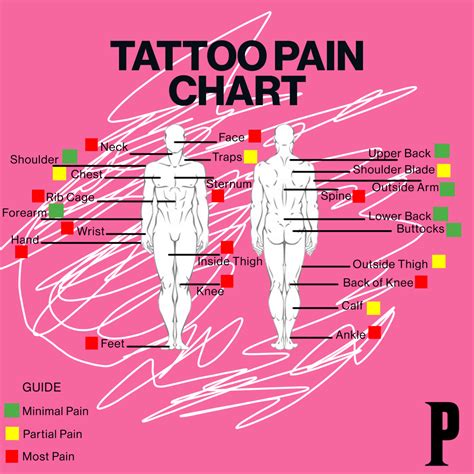 thigh tattoo pain|Tattoo Pain Chart for Females and Males: Pain Scale。